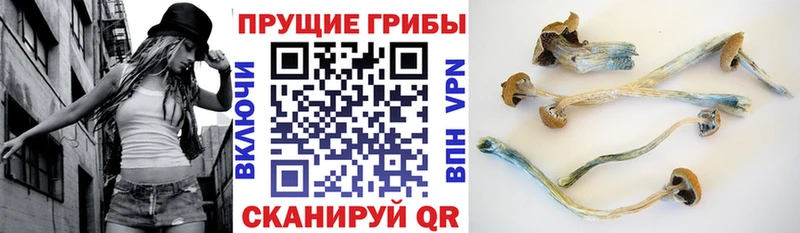 Галлюциногенные грибы Magic Shrooms  Петров Вал 